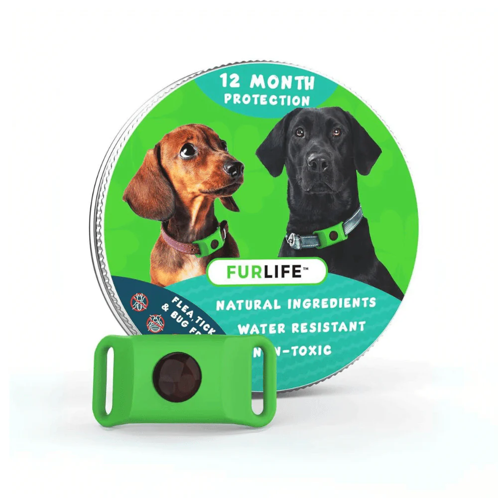 Flea And Tick Prevention For Dogs